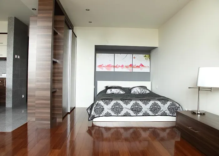 Loft Aparts 公寓 罗兹